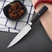 6.5 Inch German 1.4116 Stainless Steel With g10 Handle slaughtering fruits carving knife